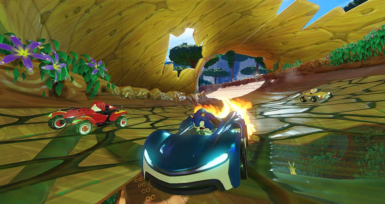 PS4 - Team Sonic Racing PlayStation 4