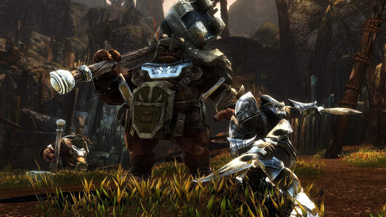 Kingdoms of Amalur: Re-Reckoning - PlayStation  4 PS4